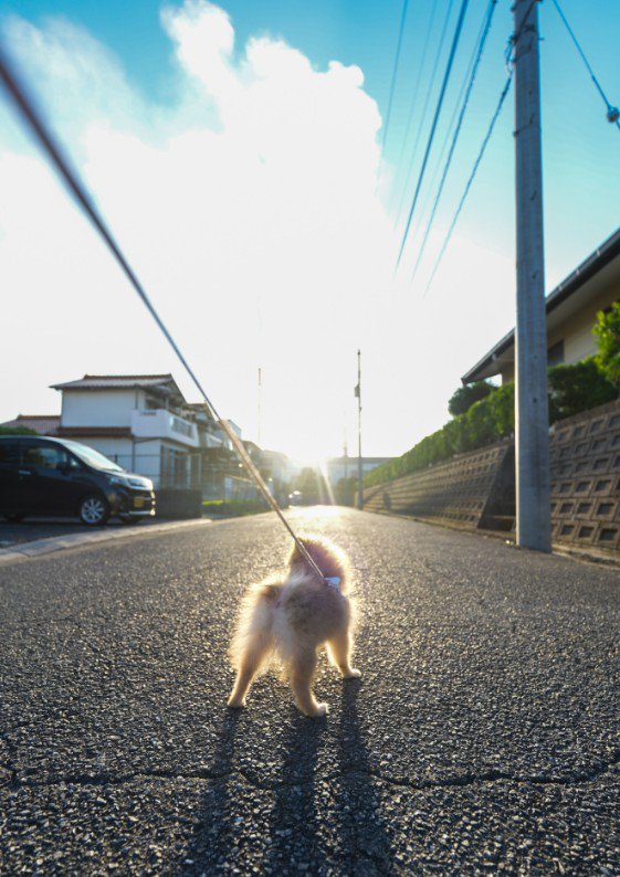 朝日に向かって仁王立ち