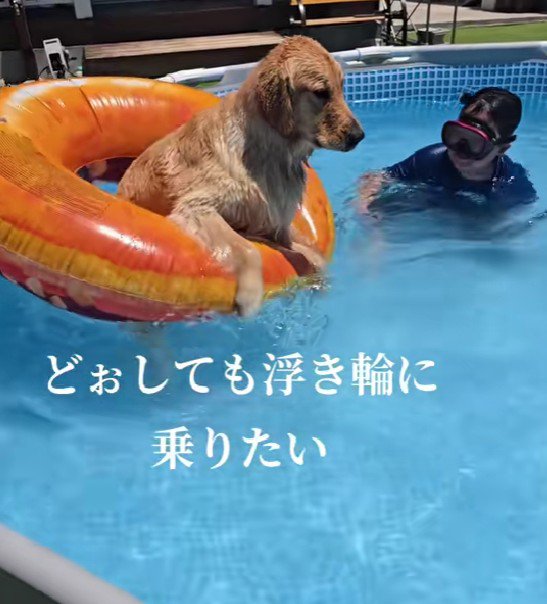 「僕も乗りたい…！」