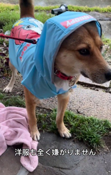 レインコートもちゃんと着られる