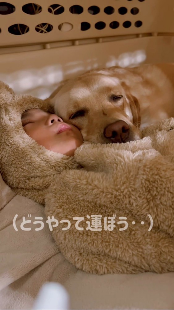 寄り添って寝る男の子と犬、どうやって運ぶか