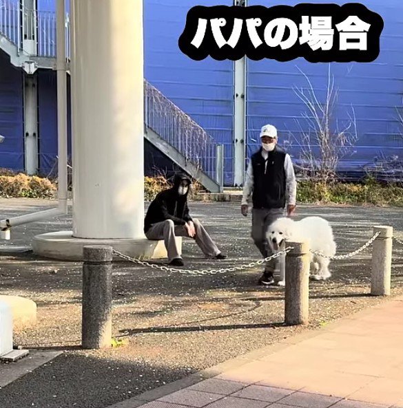 パパと鉢合わせるも…