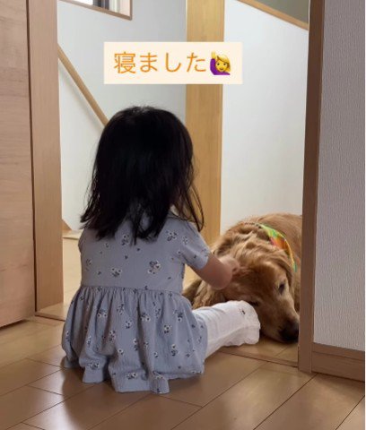 今度は見ている方が…