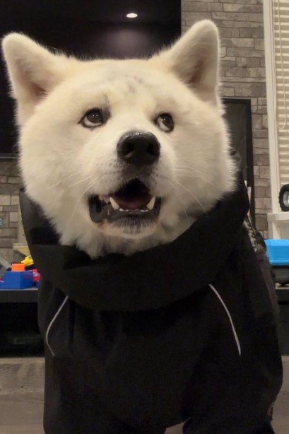 「本気か…？」