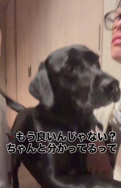 「もうやめて、泣いてるよ」