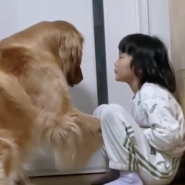 話を聞く犬と女の子