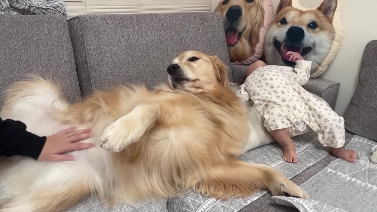 おからちゃんの隣で真似っ子