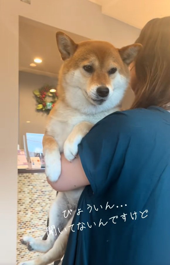 文句を言い始めるあーちゃん