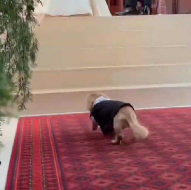 「一仕事終わった～」