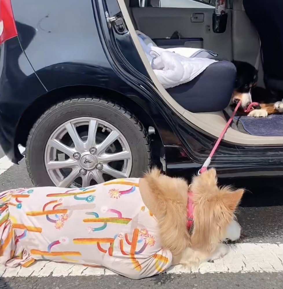 奥にいるのがレオンくん