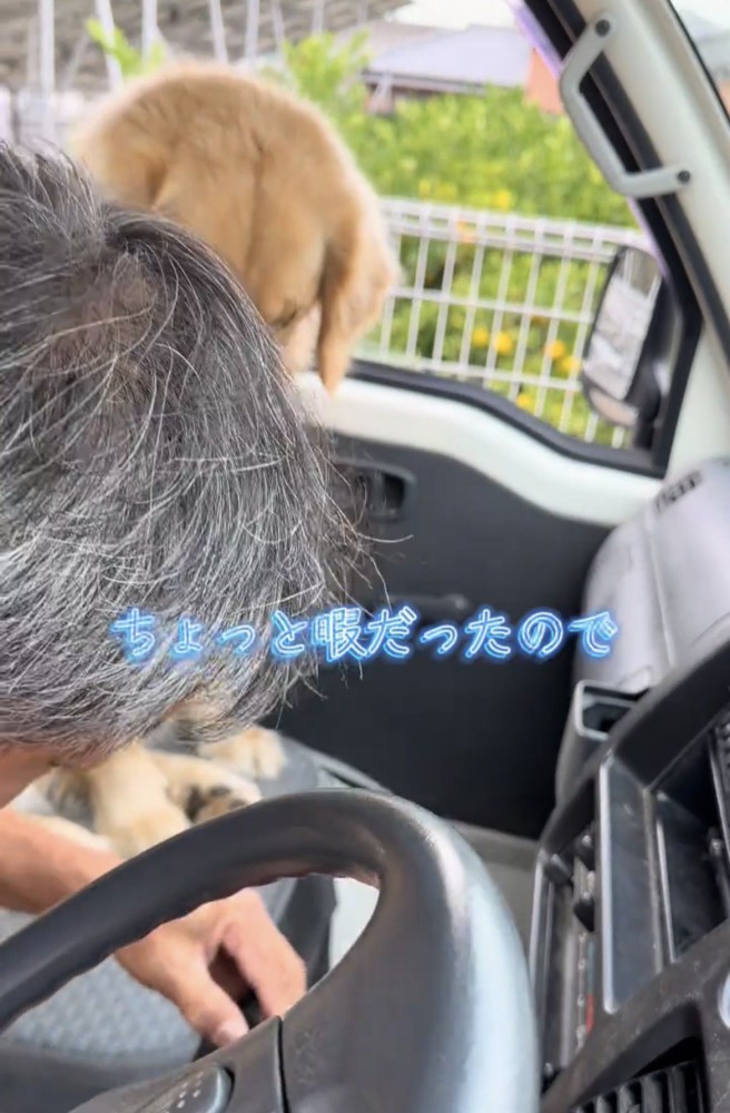 助手席でしょんぼりと顔を伏せる犬
