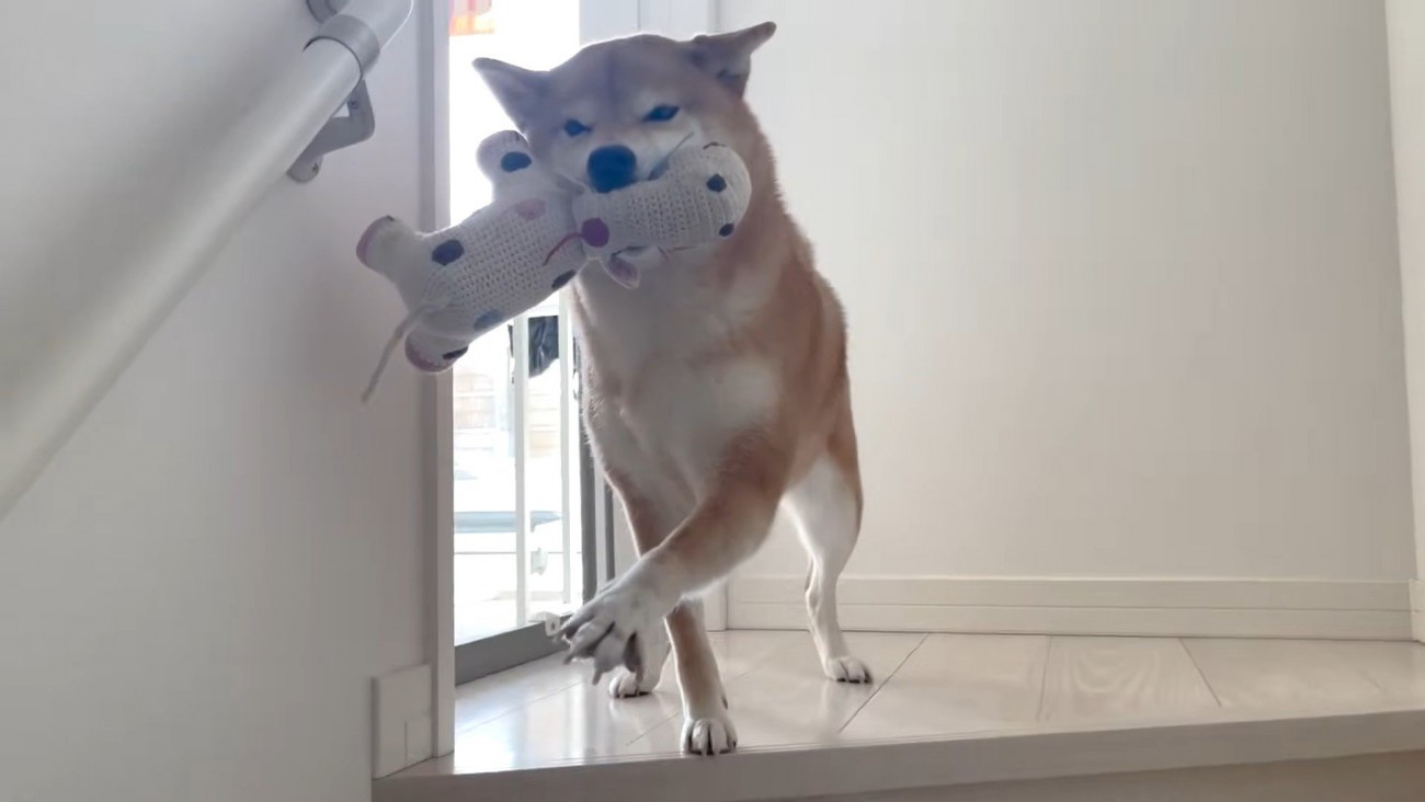 お手々を伸ばして大歓迎♪