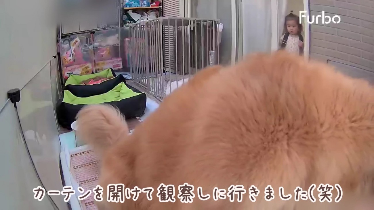 心配そうに見守るほのちゃん