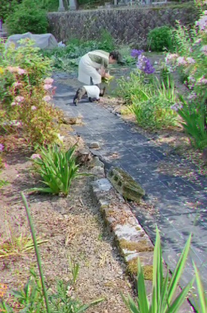 おばあちゃんの家を訪問