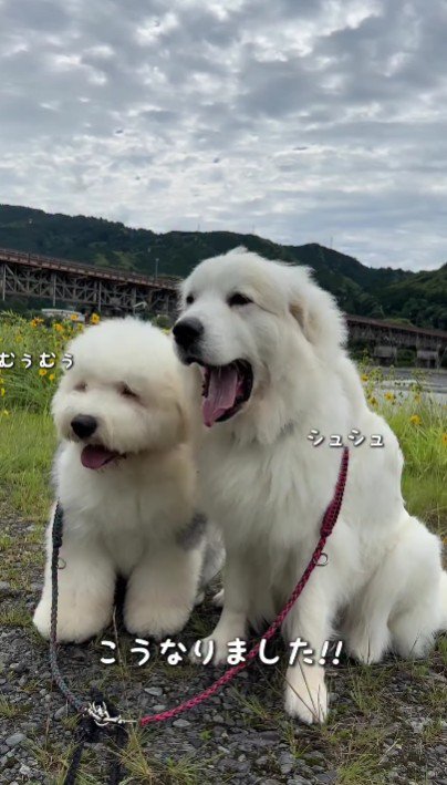 こんなに大きくなりました！！