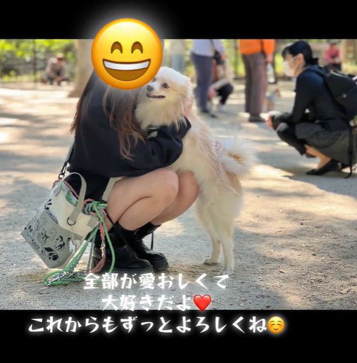 ラテくんのビフォーアフター⑩