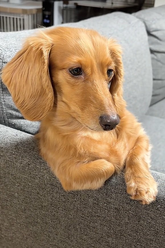 ドヤ顔の凪ちゃん