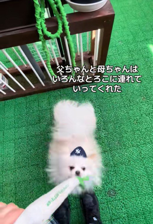 木ノ葉丸くんとの出会い8