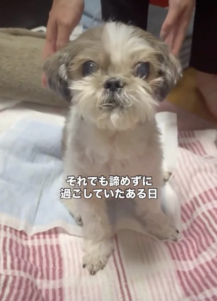 お座りができました！