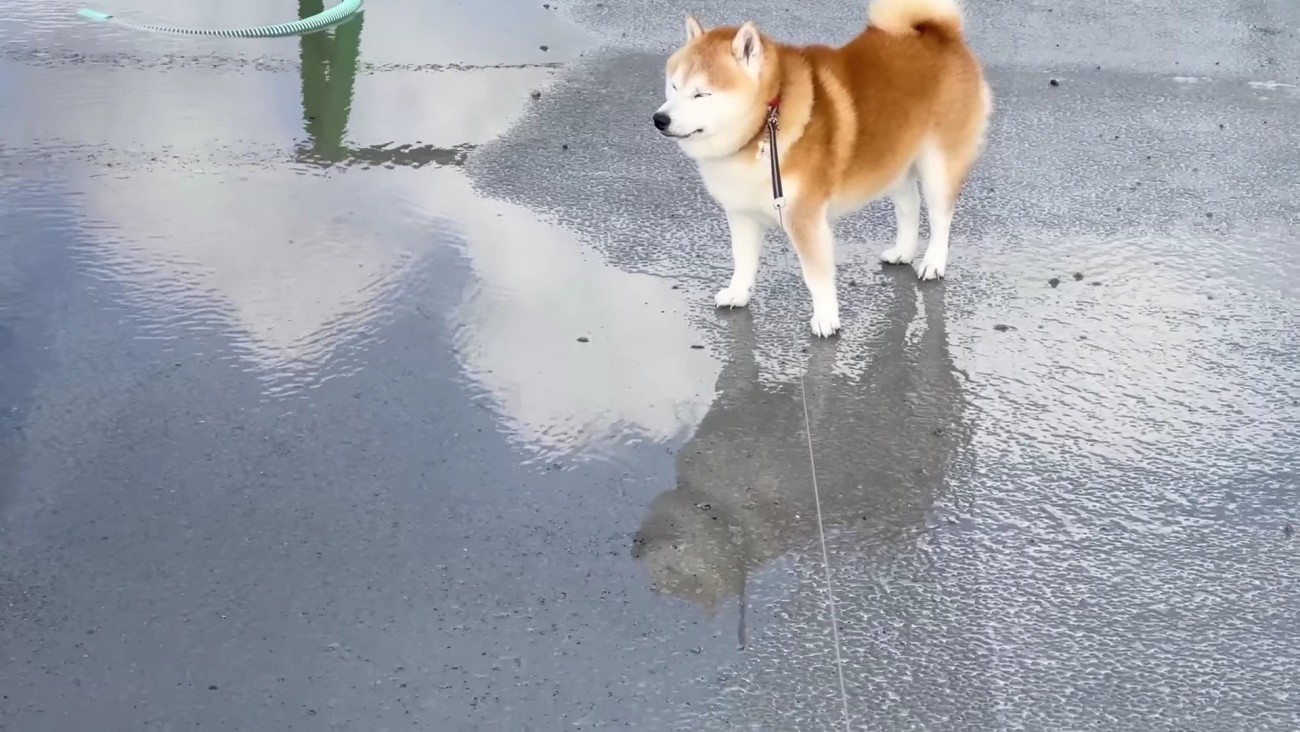 突然凛々しい表情に