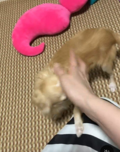 これからも幸せに暮らしてね