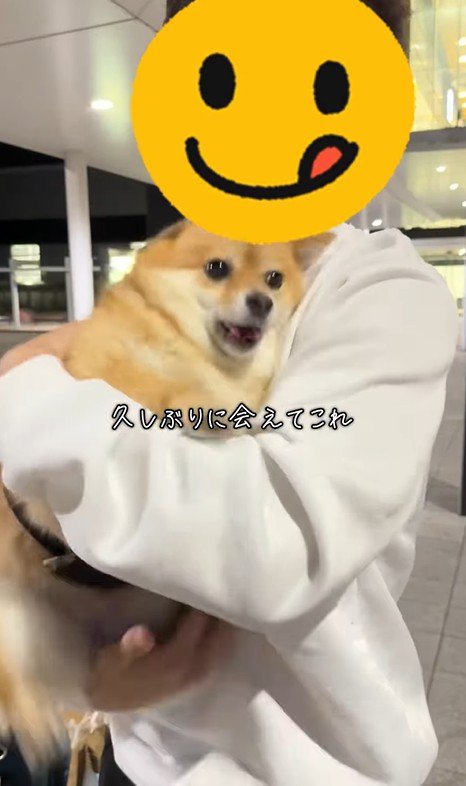 あずきちゃんとママの再会2