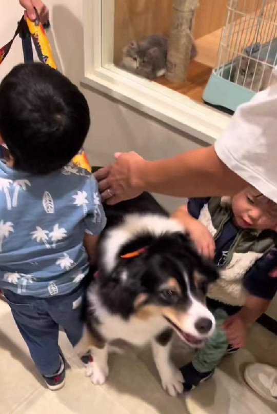 押されちゃったけど…