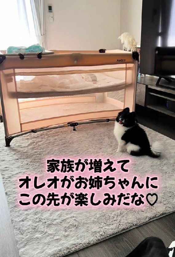 お姉ちゃんになったよ