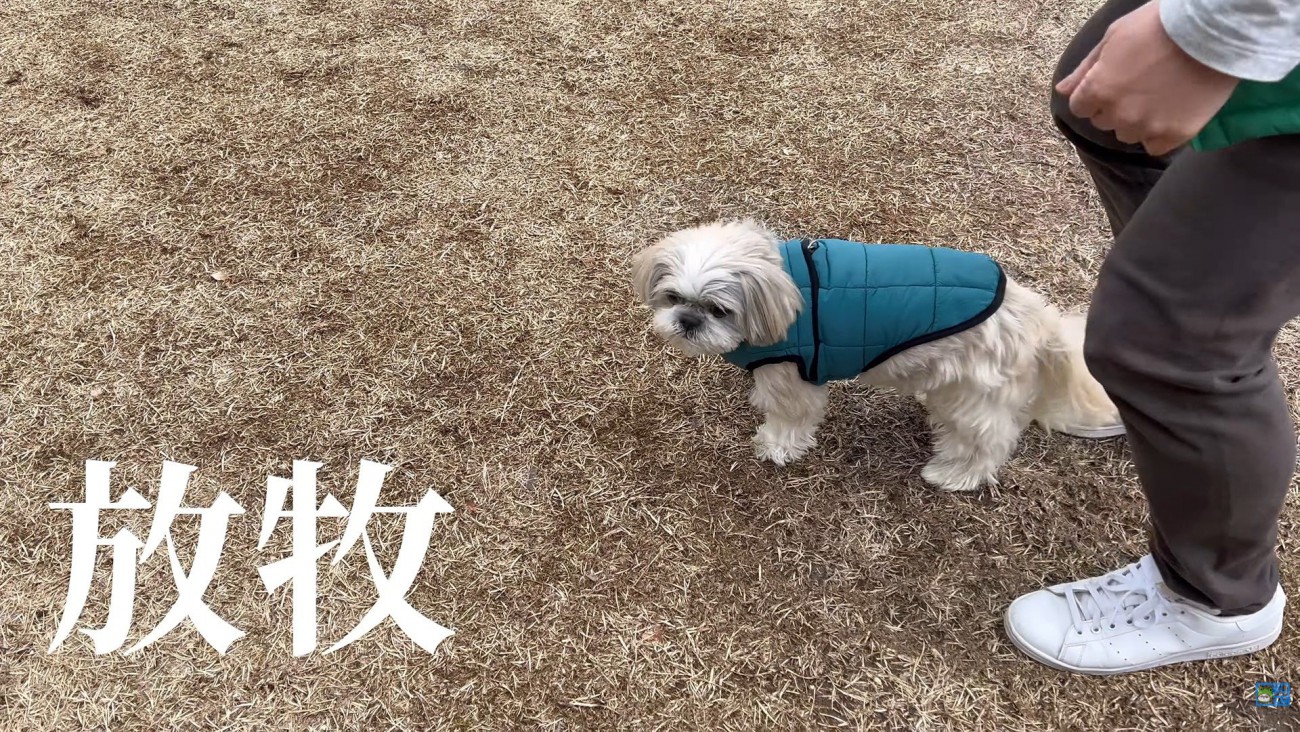 ドッグランに寄ったら…