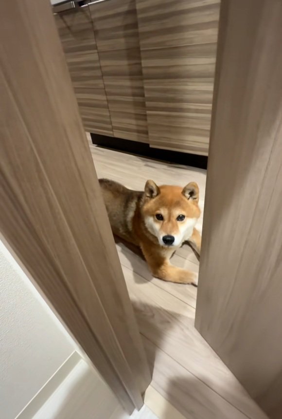 出待ちをするイブキくん