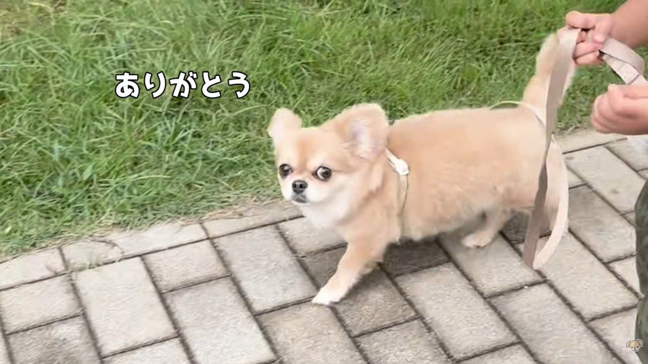 男の子をチラ見♪