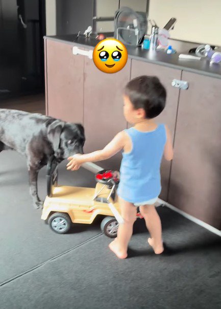 おやつをもらうことも♪