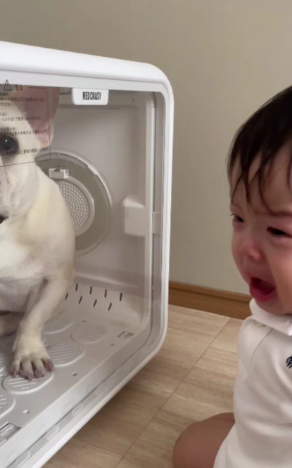 自分の無力さに思わず号泣