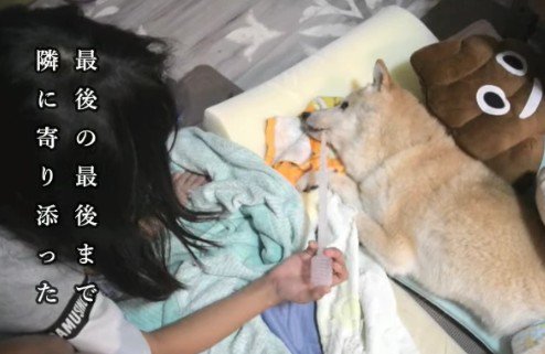 最後まで看病を続けた