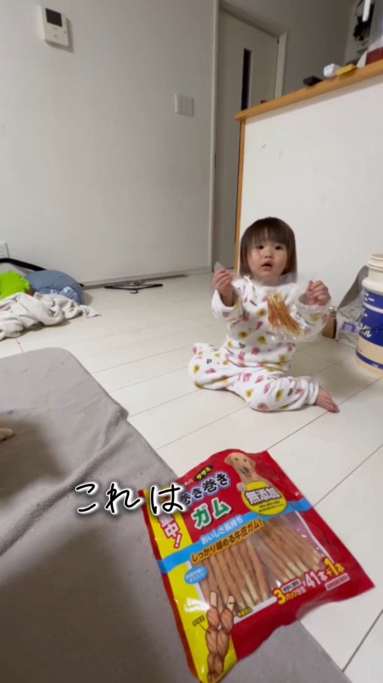 飼い主におやつの袋を見せる女の子