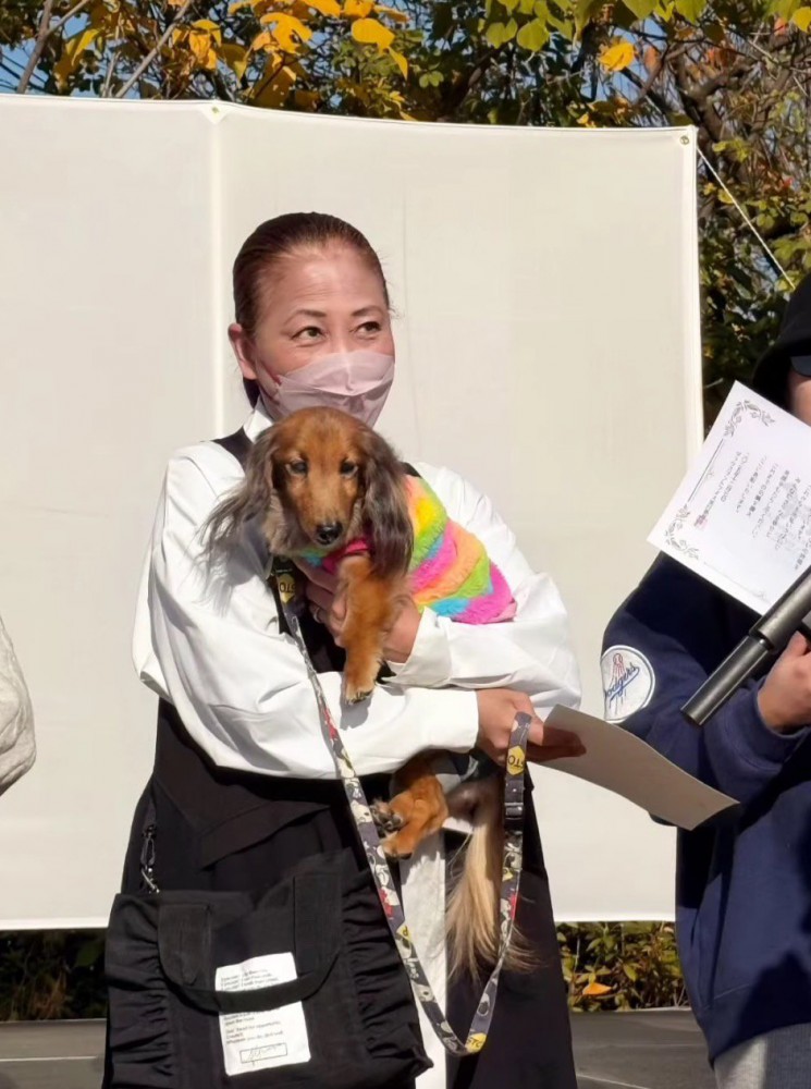 式の司会者に視線を移す飼い主