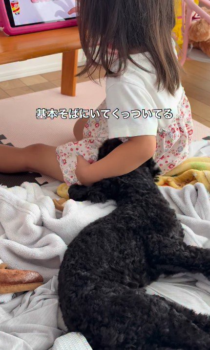いつでも一緒のふたり