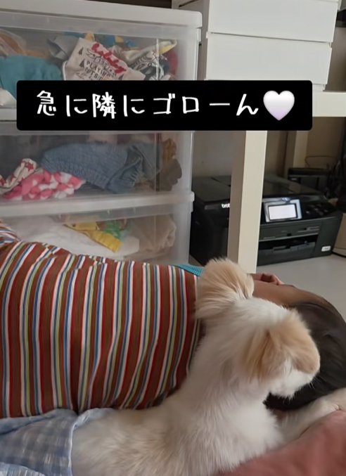 小型犬にくっつく赤ちゃん