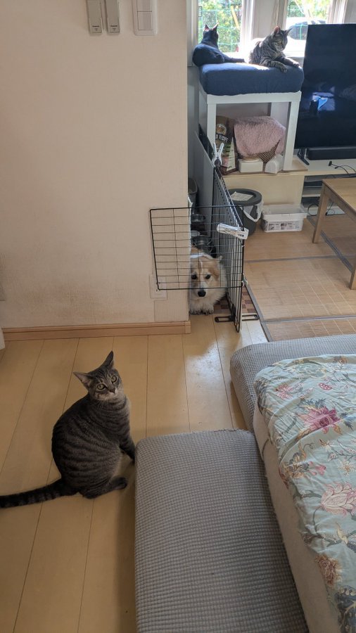 挟まる