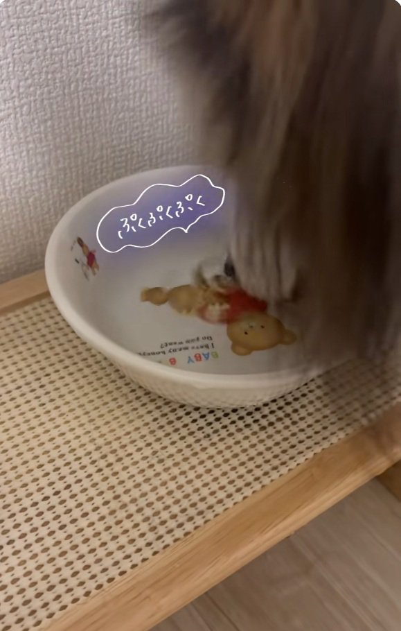 ぷくぷく遊びにハマったさつまくん