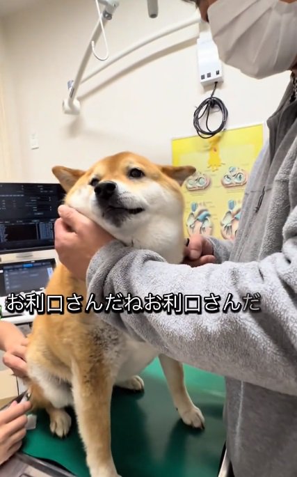 鳴いてしまうあーちゃん