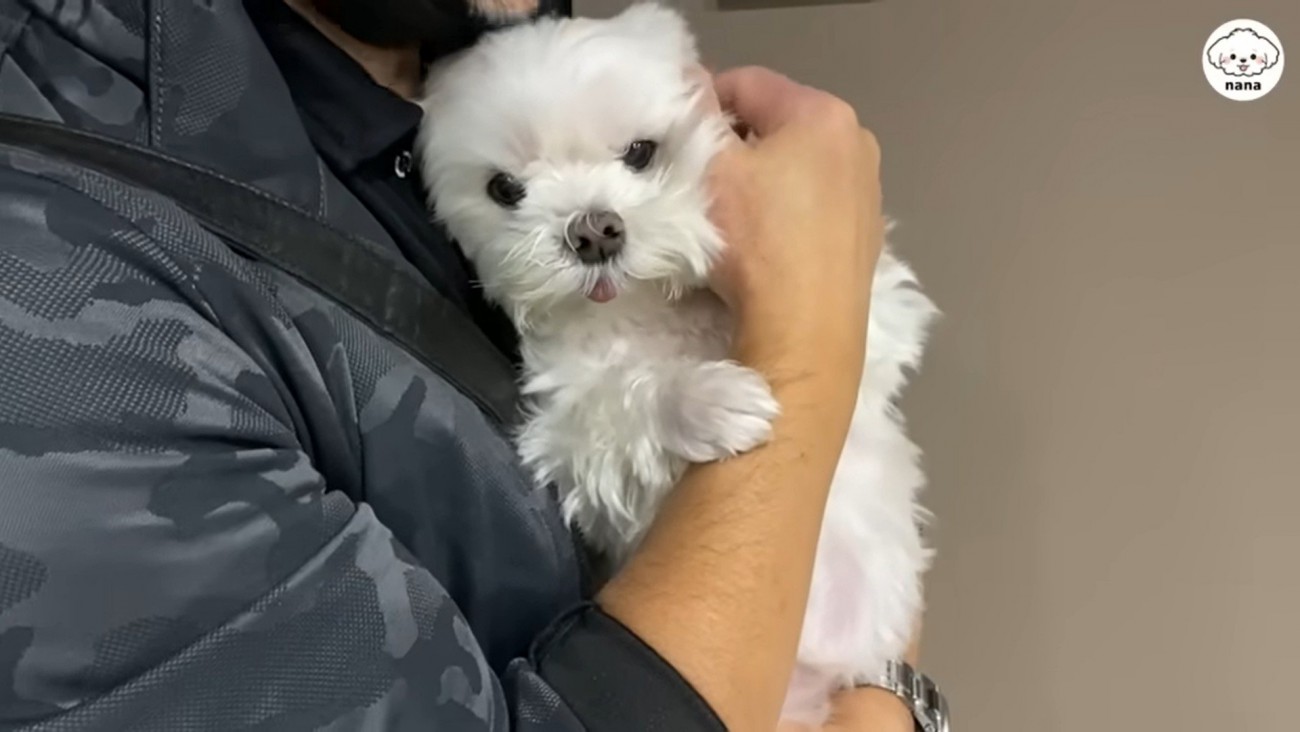 パパさんの帰りを待つナナくん2