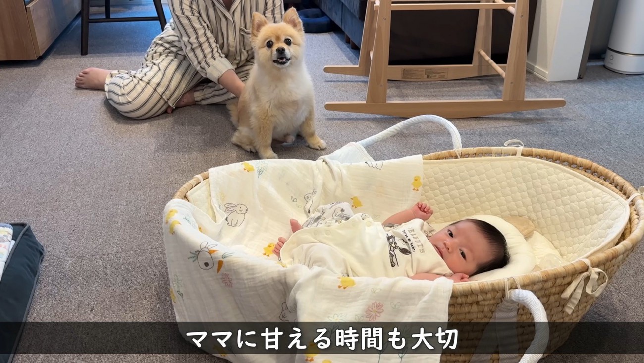 撫でてもらえて嬉しそう♪