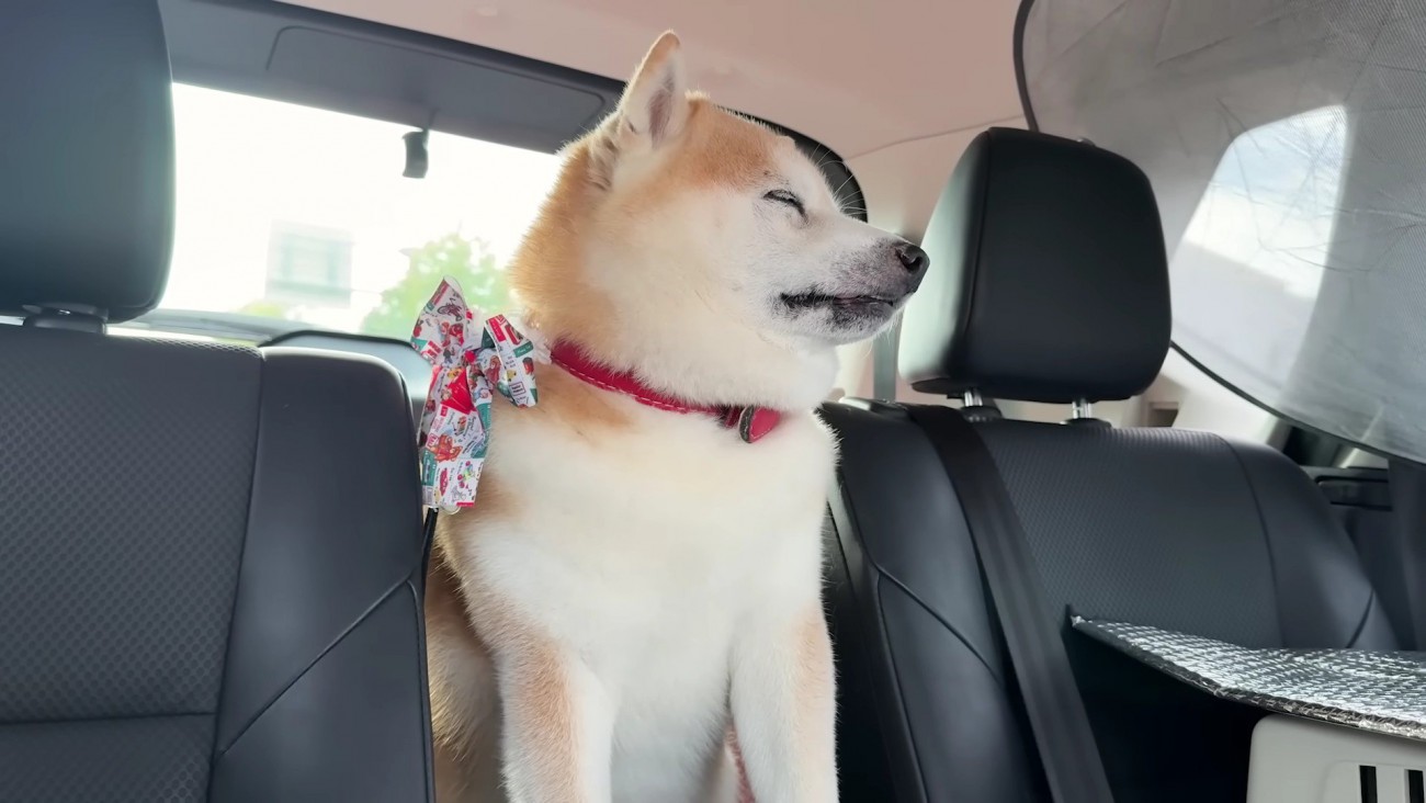 「車の中か…」