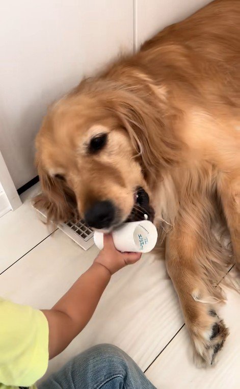 ラビーくんに芯をあげる男の子