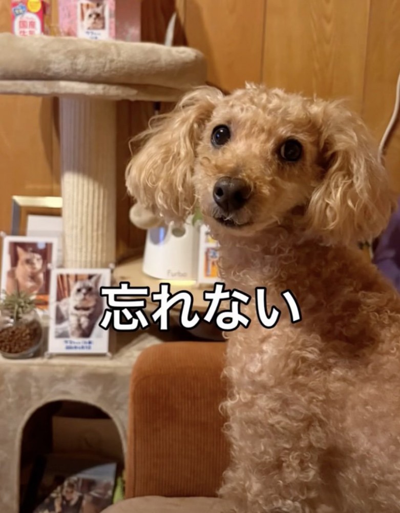レオくんの気持ちが伝わってきます