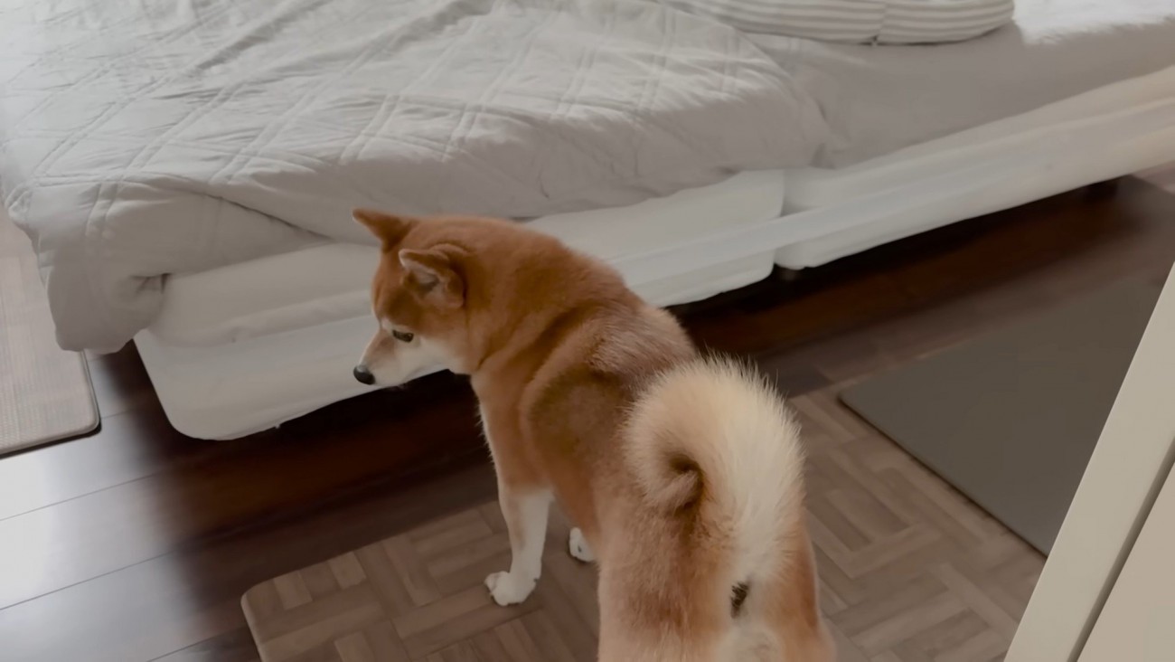 切ない姿に愛を感じます