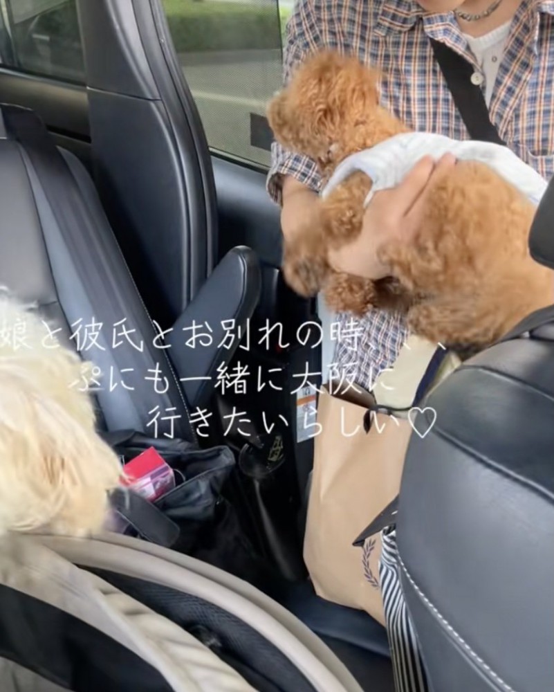 腕にぴょんっ