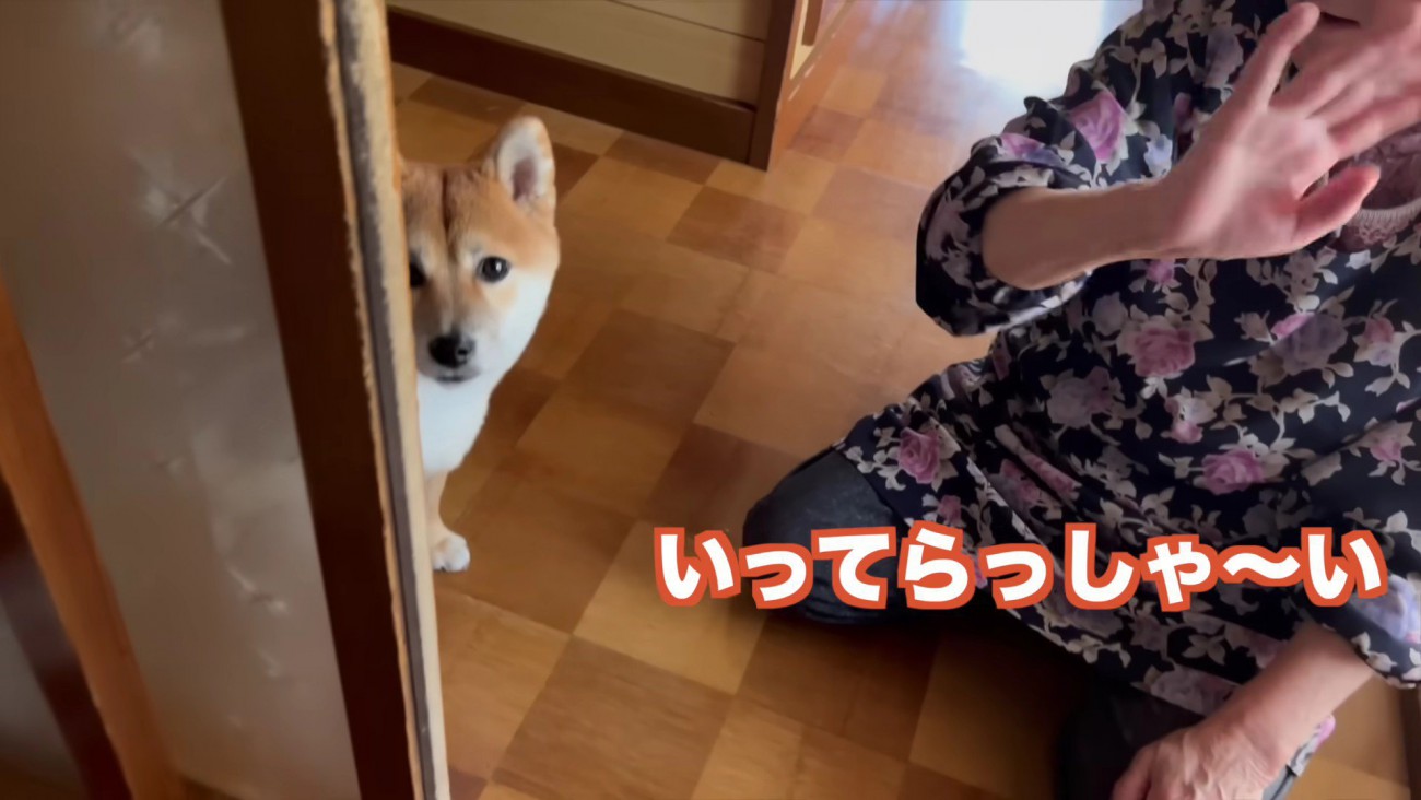 いってらっしゃーい！