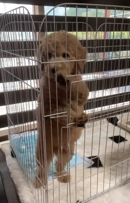 生後2か月のカムくん3