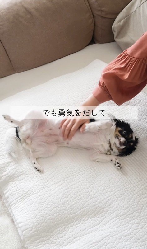 しずくちゃんの変化7